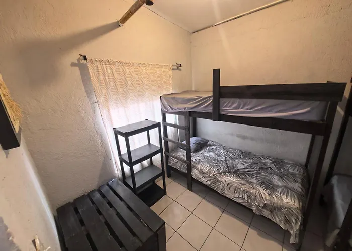 Сasa de vacaciones Casa Constructor Staff Colaboradores Cabo San Lucas